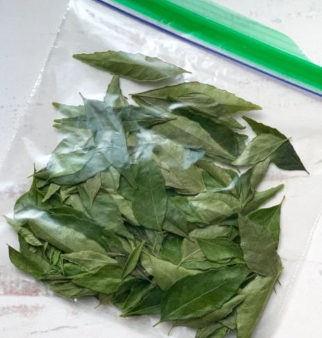 Curry Leaves