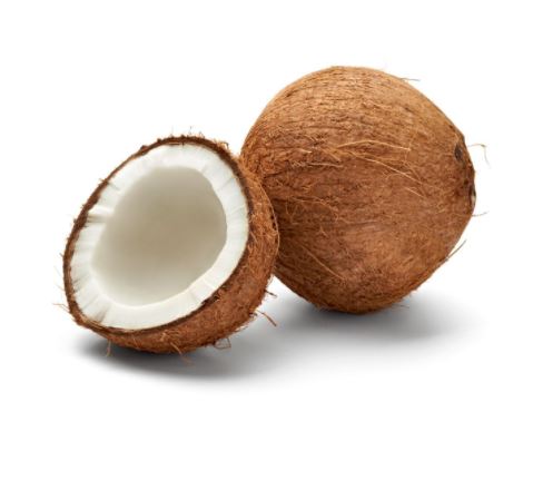 Coconut (1 Ea)